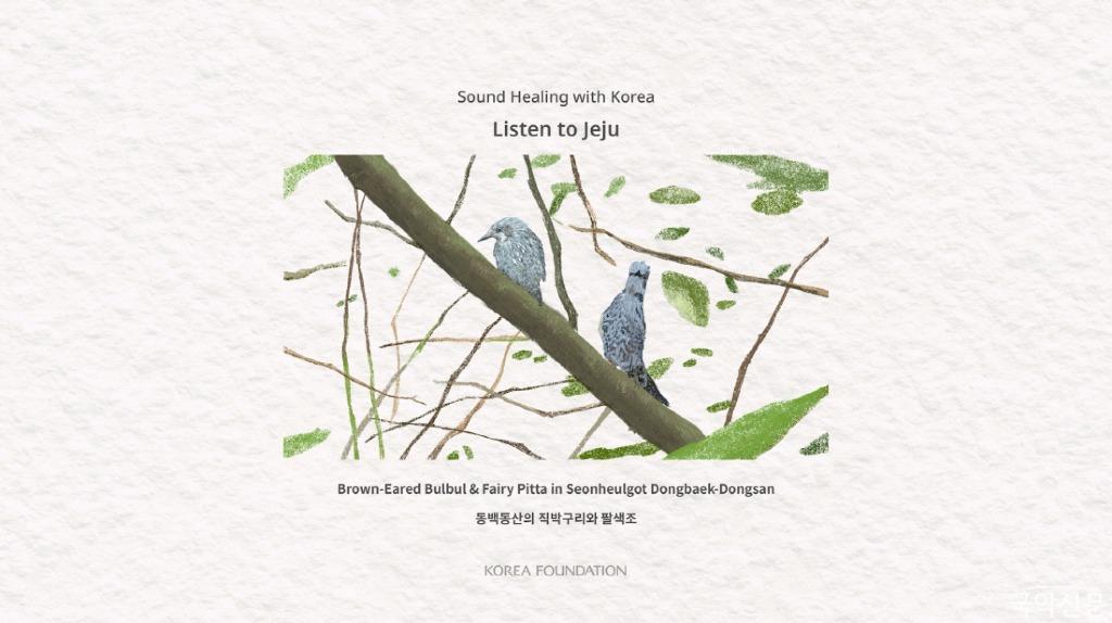 첨부1-1. 《2021 Sound Healing with Korea-Listen to Jeju》 하늘의 소리(탐조).jpg