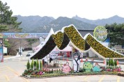 영암왕인문화축제 개막, 100리 벚꽃길