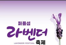 신안 퍼플섬 라벤더 축제, '2천만 송이 꽃꽃꽃'