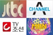 "개국 10년 넘긴 종편, 지상파 SBS 편성에도 큰 영향"