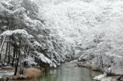 거창 월성계곡 새하얀 눈꽃 풍경