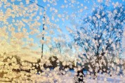 국악인 추천 휴일의 시 (63):겨울 사랑(문정)